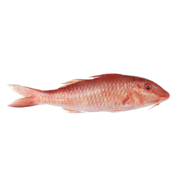 Red Mullet – Delmon Fish